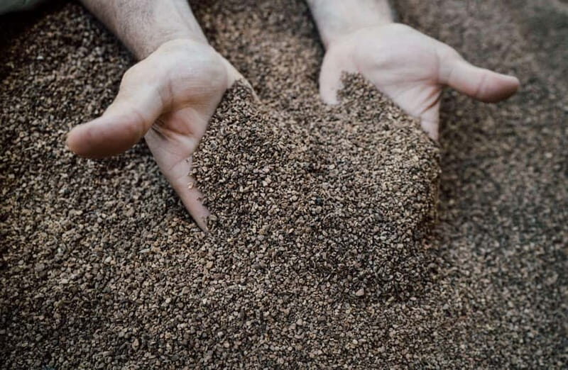 Cured Meat & Olive Oil Tasting & Visit near Pisa & Livorno - The Tour Itinerary: What You Can Expect