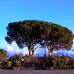 Curral das Freiras e Monte - Authentic Insights from Reviewers