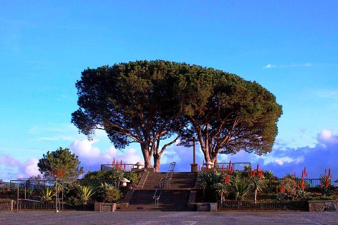 Curral das Freiras e Monte - Authentic Insights from Reviewers