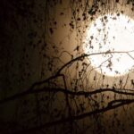 Curse of the Doomed Passage Escape Game in Flaine - What to Expect from the Curse of the Doomed Passage Escape Game