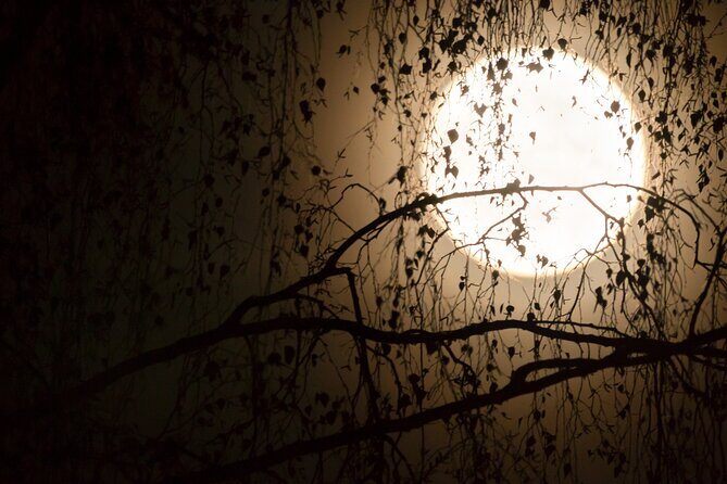 Curse of the Doomed Passage Escape Game in Flaine - What to Expect from the Curse of the Doomed Passage Escape Game