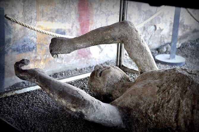 Customizable Private Tour of Herculaneum & Pompeii - What We Loved