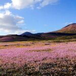 Customized Private Tours of Lanzarote island - The Practicalities: What You Need to Know