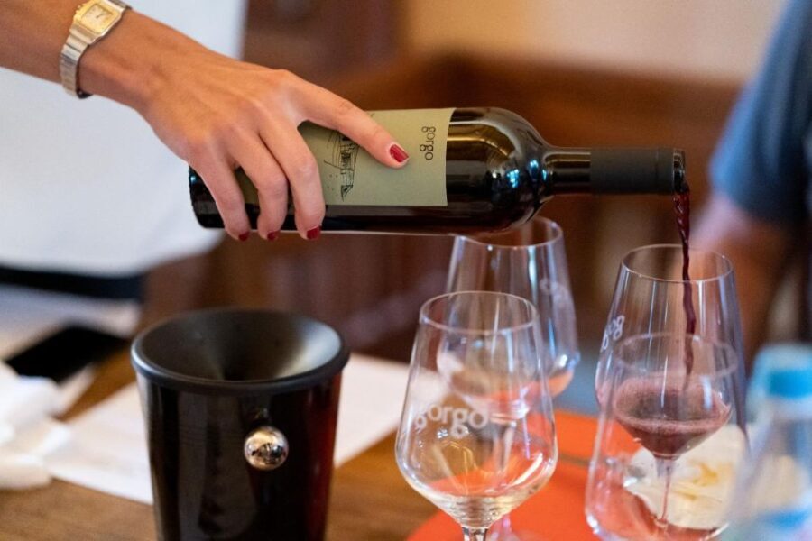 Custoza: Organic Wine Tasting with Vineyard and Cellar Tour - An In-Depth Look at the Experience