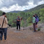 Cyprus: Troodos & Geopark or Pafos Forest & Villages Tour - Practical Details & Tips