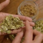 Czech Beer Tasting Experience - What to Expect from the Czech Beer Tasting Tour