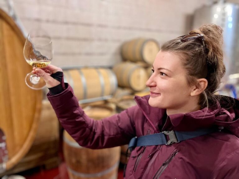 Czech Vineyards and Wine Tasting 4WD Tour with Lunch - Analyzing the Value