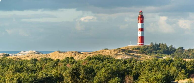 Dagebüll: Daytrip by boat to Amrum - Exploring the Island: What to Expect on Amrum