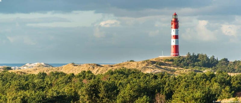 Dagebüll: Daytrip by boat to Amrum - Exploring the Island: What to Expect on Amrum