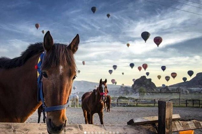 Daily Cappadocia North Tour - Who Will Love This Tour?