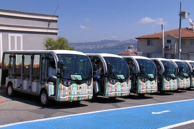 Daily Princes' Islands Tour with Lunch from Istanbul - Is This Tour Right for You?