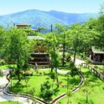 Daily Sapanca & Maukiye & Mahmudiye Tour with Lunch from Istanbul - Transport and Guide Experience