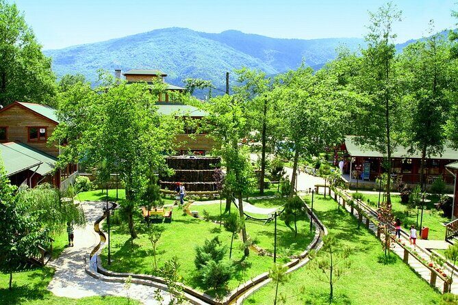 Daily Sapanca & Maukiye & Mahmudiye Tour with Lunch from Istanbul - Transport and Guide Experience