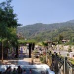 Dalyan Mud Bath and Turtle Beach from Sarigerme - Why This Tour Offers Great Value