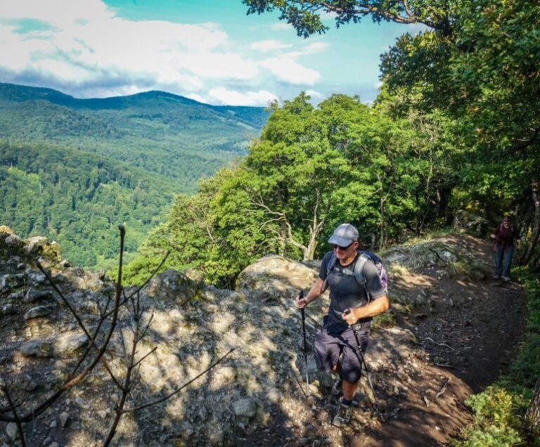 Danube Bend: Full-Day Hiking Tour from Budapest - The Trail and Terrain