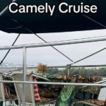 **Danube Delta Trips on the Camely Boat: Departing from Tulcea** - FAQ