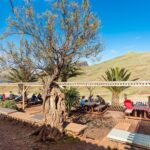 Day Pack @ Ponta de São Lourenço - Who Will Enjoy This Tour?