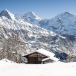 Day Sledding in Interlaken - Authentic Tips from Real Reviewers