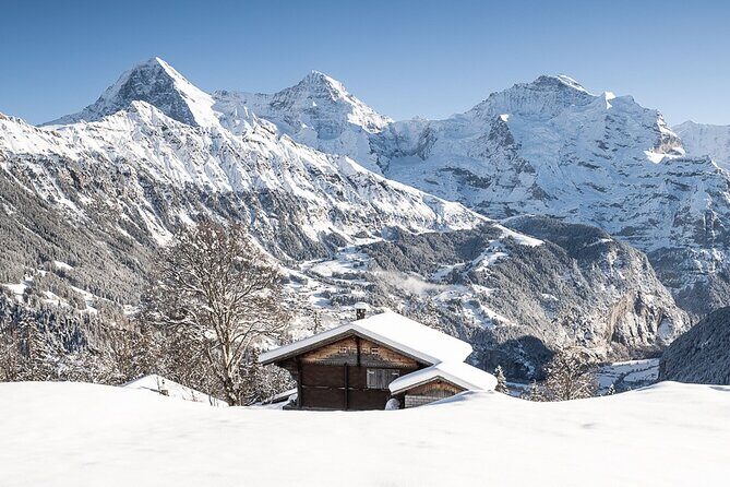 Day Sledding in Interlaken - Authentic Tips from Real Reviewers