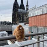 Day tour Aachen & Cologne from Brussels - Lunch in Aachen: Sampling German Flavors