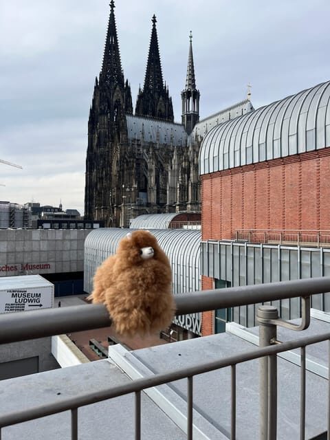 Day tour Aachen & Cologne from Brussels - Lunch in Aachen: Sampling German Flavors