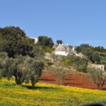 Day Tour of Bari, Alberobello, Matera - Visiting Bari’s Centro Storico