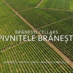 Day Tour: Old Orhei Monasteries Complex with Brneti Cellar - FAQ