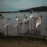 Day tour to: Apollonia, Narta Lagoon & Zvernec Monastery - Who This Tour Is Best For