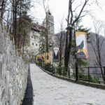 Day Trip Bear Sanctuary, Bran Castle, Rasnov Fortress from Brasov - What’s Included and What’s Not