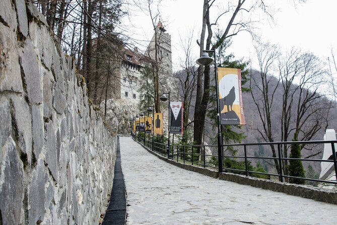 Day Trip Bear Sanctuary, Bran Castle, Rasnov Fortress from Brasov - What’s Included and What’s Not