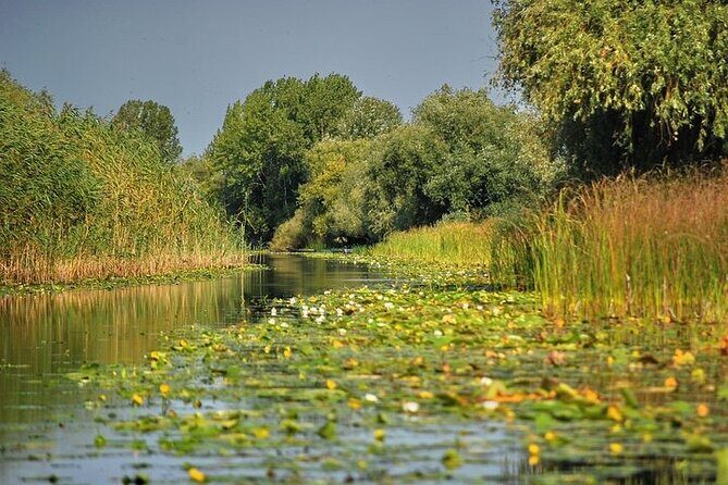 Day Trip from Bucharest to Danube Delta - The Danube Delta: A UNESCO Wonder and Birdwatcher’s Paradise