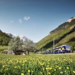 Day Trip from Zurich: Grindelwald First Mountain Adventure - Practical Tips for Making the Most of Your Day