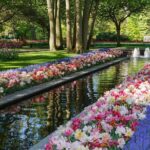 Day Trip to Keukenhof Gardens from Amsterdam with Tour Guide - Transportation and Timing: Making the Most of Your Day