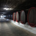 Day trip to Moldova - visit Chisinau and Cricova Winery - Practical Considerations & What You’ll Love