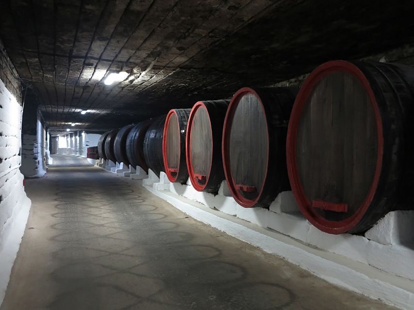 Day trip to Moldova - visit Chisinau and Cricova Winery - Practical Considerations & What You’ll Love