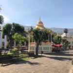 Day trip to the island of Tenerife - Final Thoughts