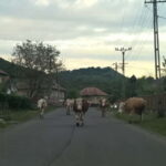 Day Trip to the Land of Hidden Caves - A Deep Dive into the Experience