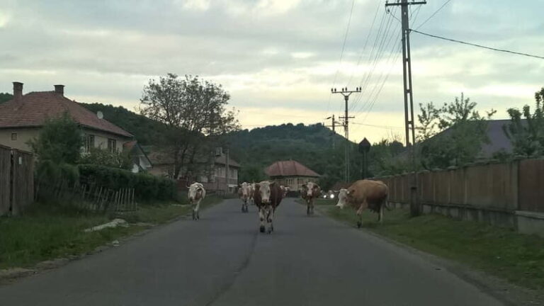 Day Trip to the Land of Hidden Caves - A Deep Dive into the Experience