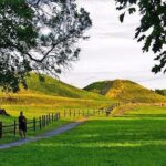 Day-Trip- to-Uppsala - Who Should Consider This Tour?