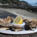 Day Trip with a local driver Dinan, Cancale, Saint-Malo from Rennes - 9 hours - The transportation experience