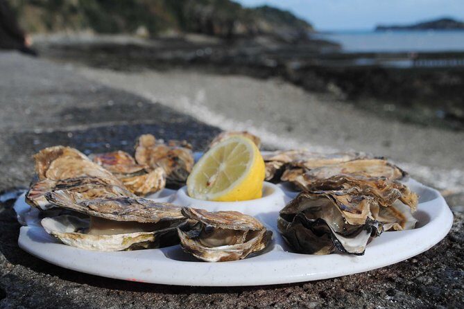 Day Trip with a local driver Dinan, Cancale, Saint-Malo from Rennes - 9 hours - The transportation experience