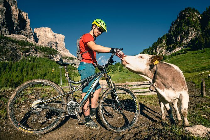 Day with Private Bicycle Guide in Cortina d'Ampezzo - Starting Point & Logistics