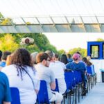 Daytime Sightseeing Boat Cruise in York - The Realities & Considerations