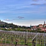 Daytrip from Prague - Mikulov with a stop at Lednice chateau - Exploring the South Moravian Region: What Makes This Tour Stand Out