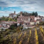 Degustazione di vini del Monferrato con visita della cantina - What We Loved