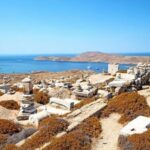 Delos and Mykonos One Day Cruise from Naxos - The Value of the Experience