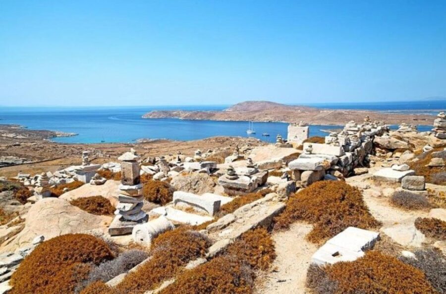 Delos and Mykonos One Day Cruise from Naxos - The Value of the Experience