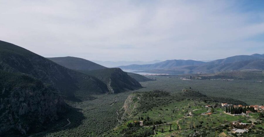 Delphi: Easy Hike on Ancient Path through the Olive Groves - Highlights of the Experience