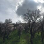 Delphi Private Full-day trip from Athens - FAQs