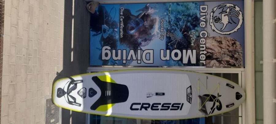 Dénia: Paddle Surfboard Rental - Practical Tips for Your Paddleboarding Adventure